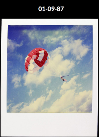 Illustration for article titled The guy who took a Polaroid every day